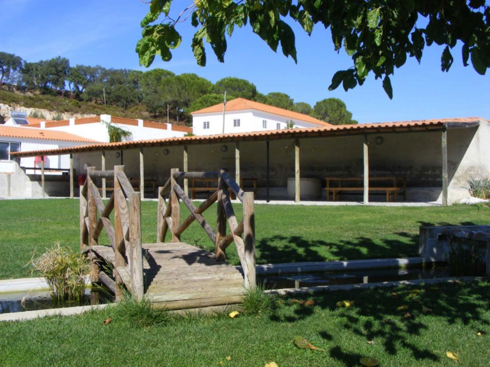 Ferme Rurale à Chamusca